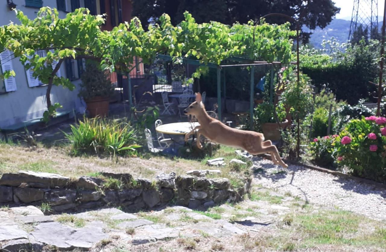 Villa Ponzio Genova Eksteriør bilde
