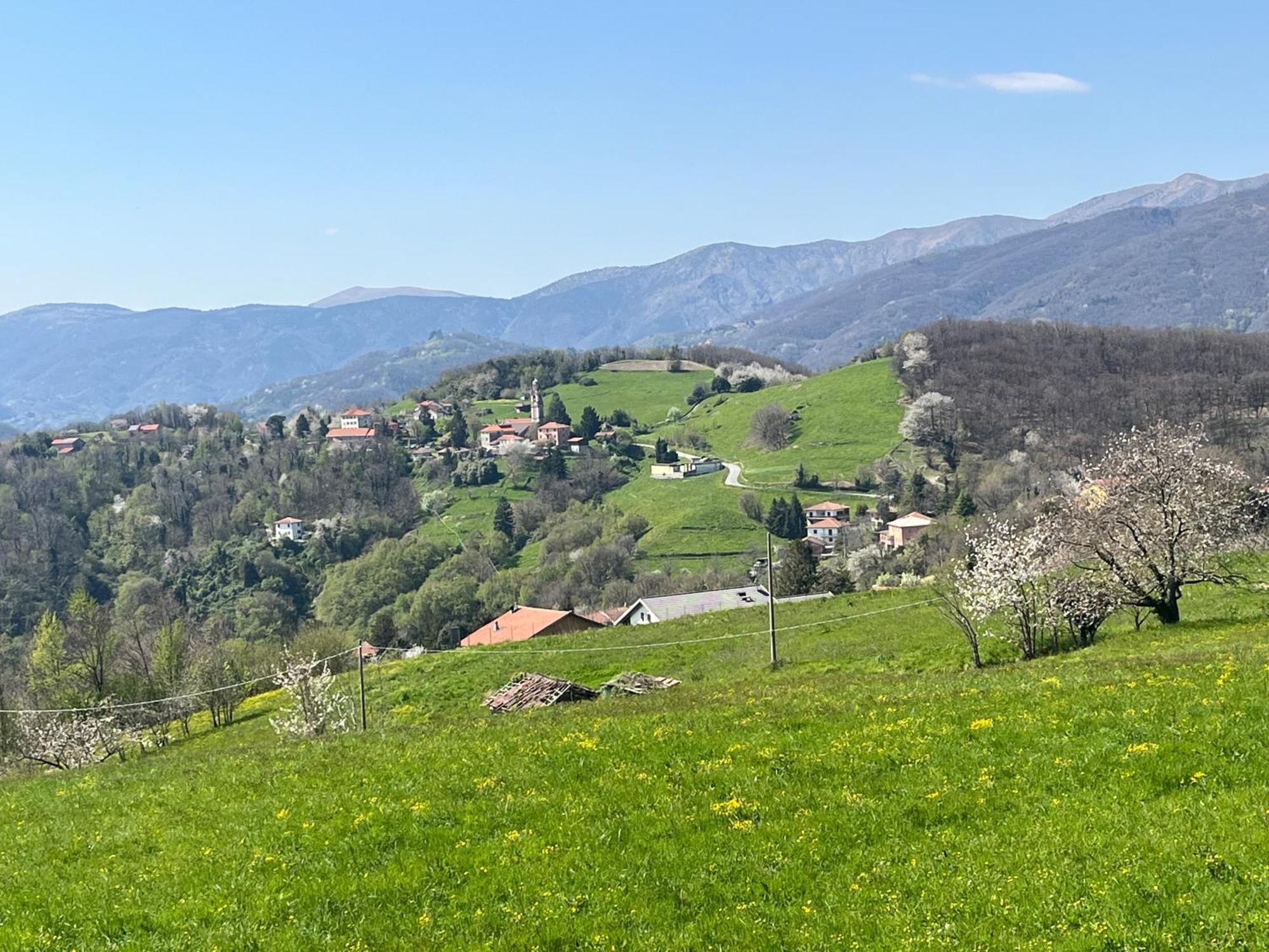 Villa Ponzio Genova Eksteriør bilde